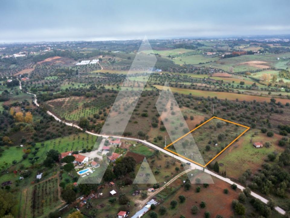 Helårsgrund i Torres Novas, Santarem - foto 4