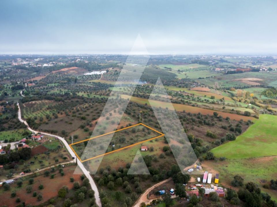 Helårsgrund i Torres Novas, Santarem - foto 5