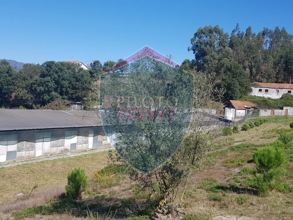 Farm i Oliveira de Frades, Viseu - foto 1