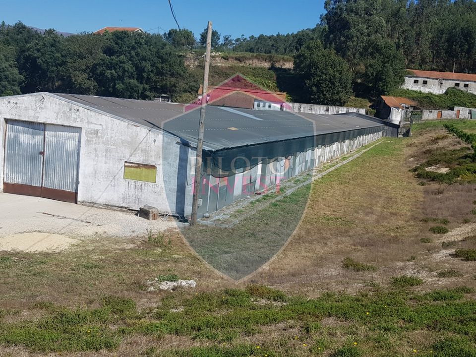 Farm i Oliveira de Frades, Viseu - foto 4