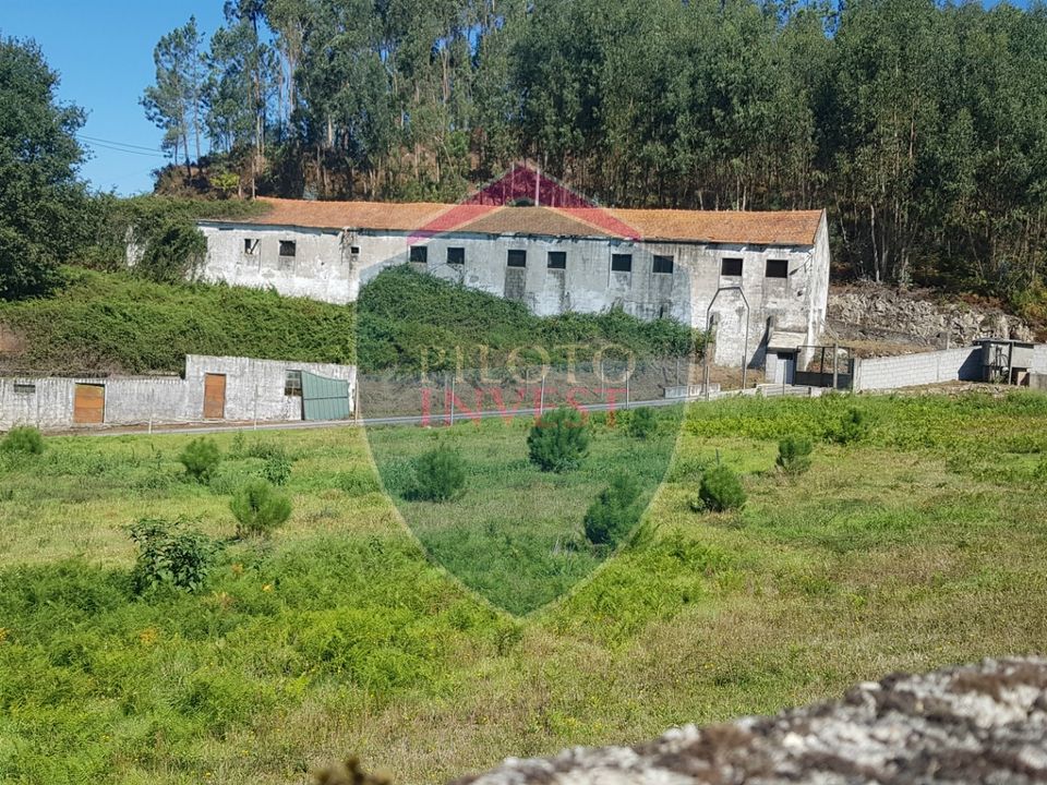 Farm i Oliveira de Frades, Viseu - foto 2