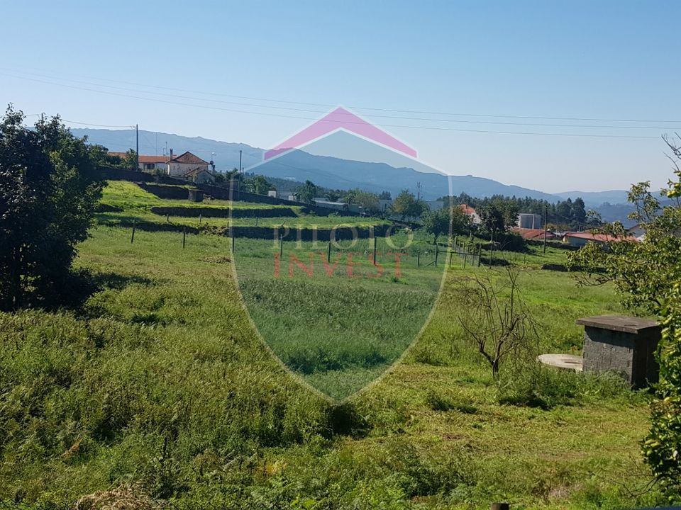 Farm i Oliveira de Frades, Viseu - foto 3