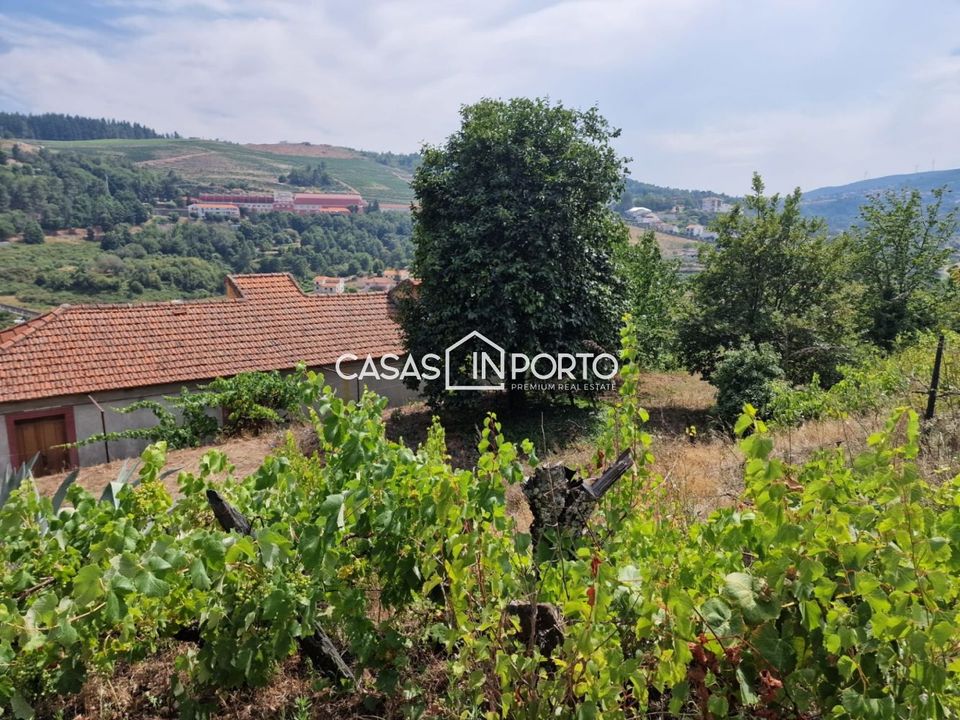 Landejendom i Lamego, Viseu - foto 1
