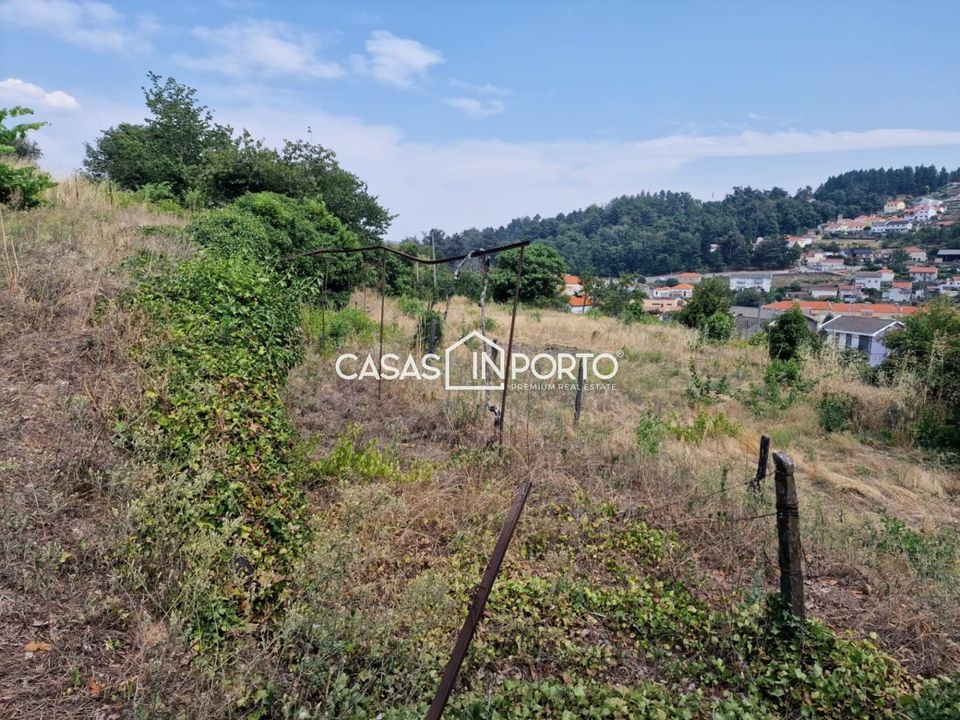 Landejendom i Lamego, Viseu - foto 2