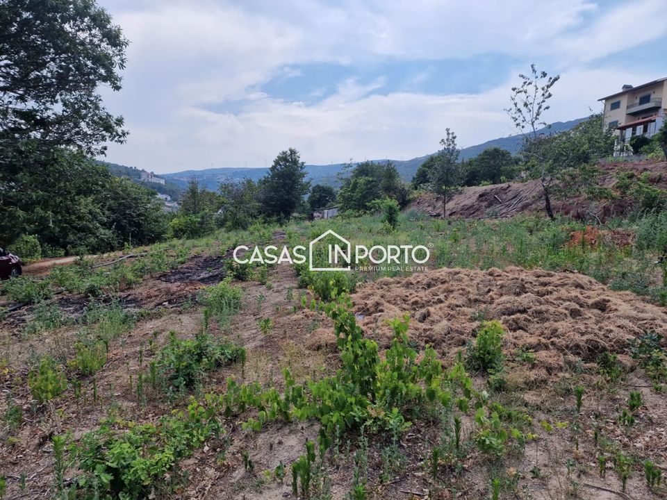 Landejendom i Lamego, Viseu - foto 3
