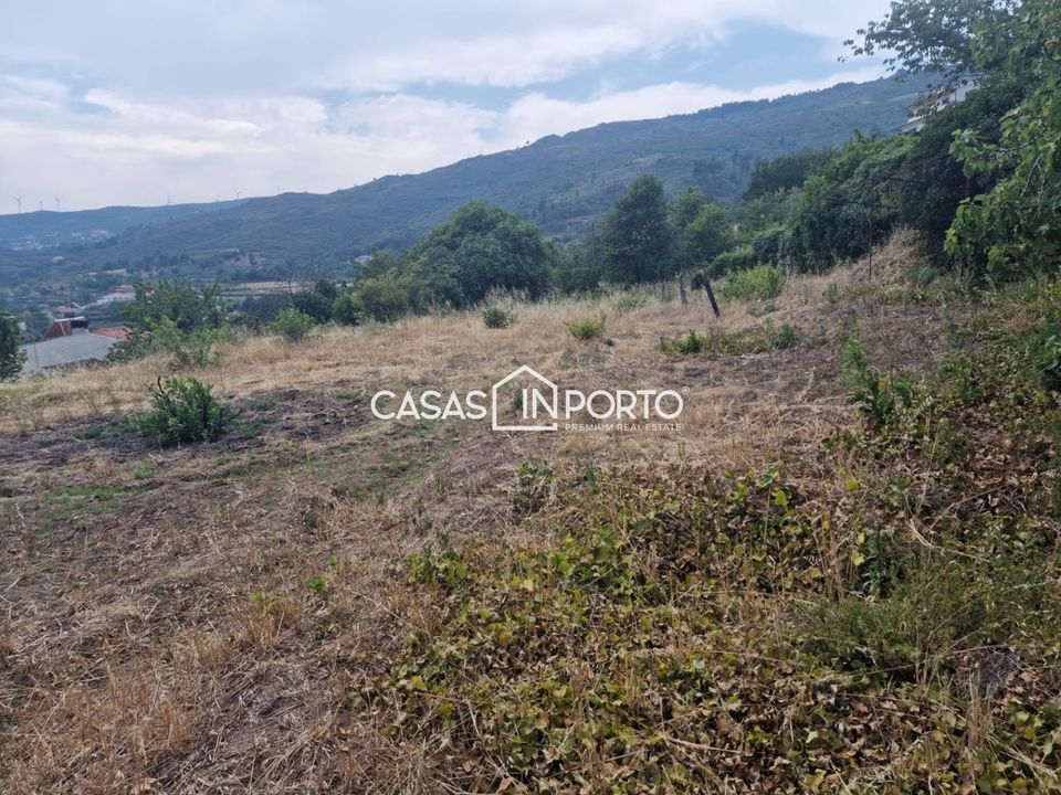 Landejendom i Lamego, Viseu - foto 5