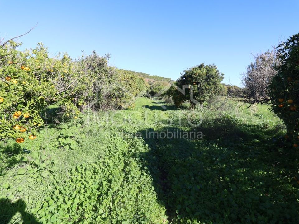 Helårsgrund i Castro Marim, Faro - foto 5