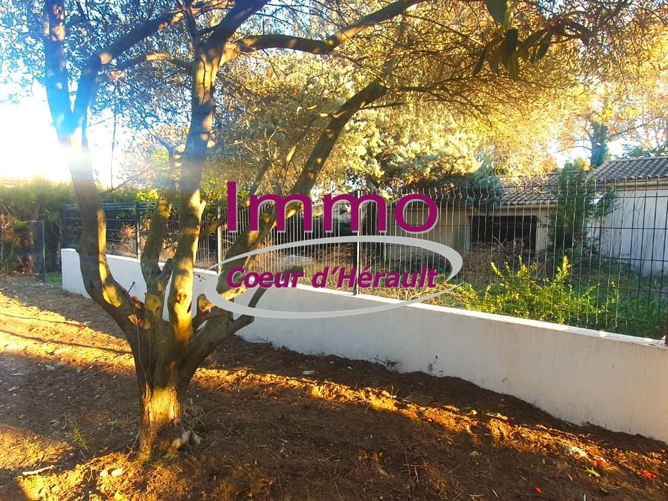 Villa i Saint-André-de-Sangonis, Herault - foto 1