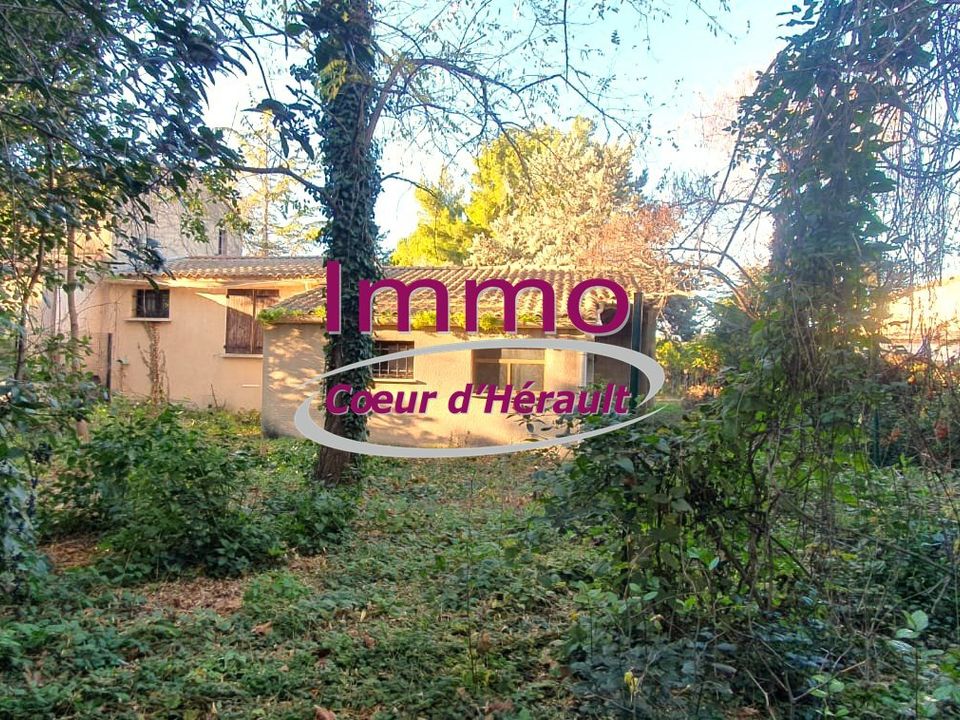 Villa i Saint-André-de-Sangonis, Herault - foto 3