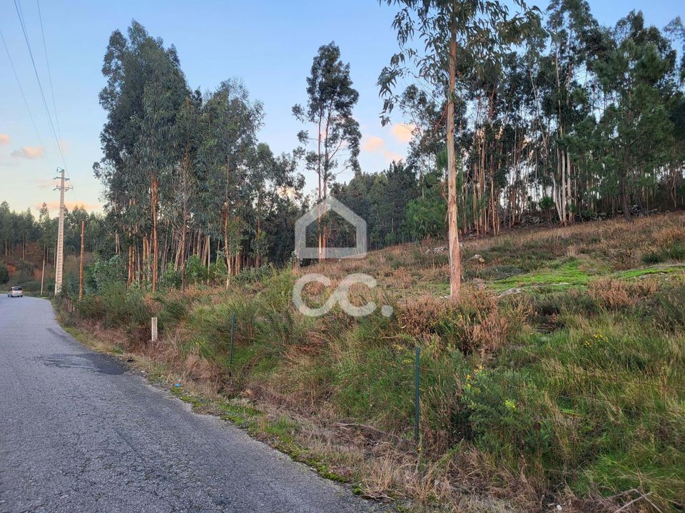 Helårsgrund i Guimaraes, Braga - foto 1