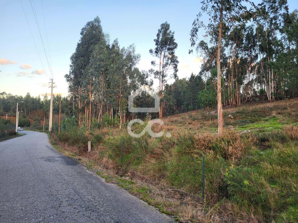 Helårsgrund i Guimaraes, Braga - foto 2