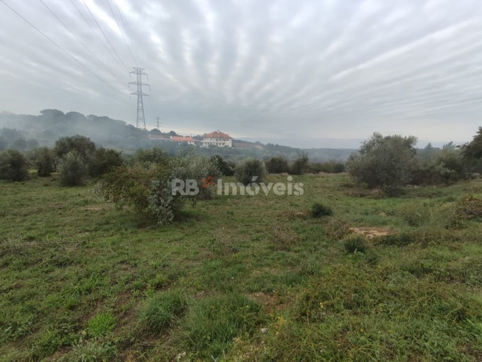 Helårsgrund i Casais e Alviobeira, Santarem - foto 5