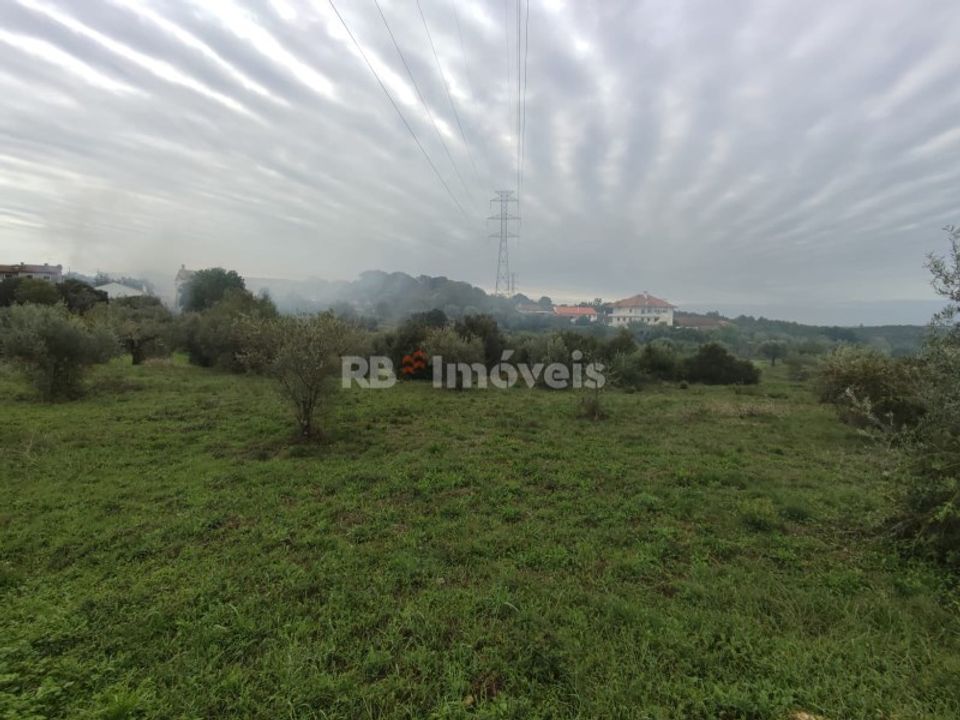 Helårsgrund i Casais e Alviobeira, Santarem - foto 1