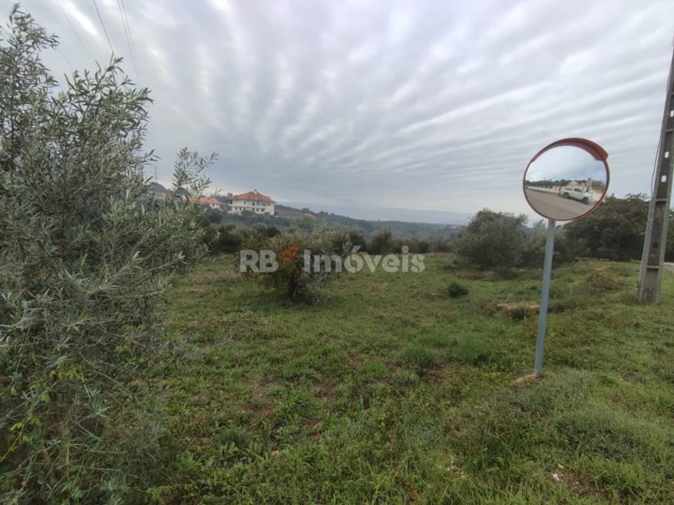 Helårsgrund i Casais e Alviobeira, Santarem - foto 3