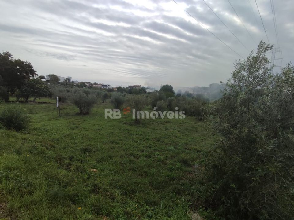 Helårsgrund i Casais e Alviobeira, Santarem - foto 4