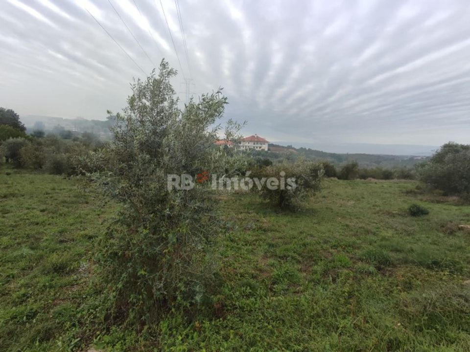 Helårsgrund i Casais e Alviobeira, Santarem - foto 2
