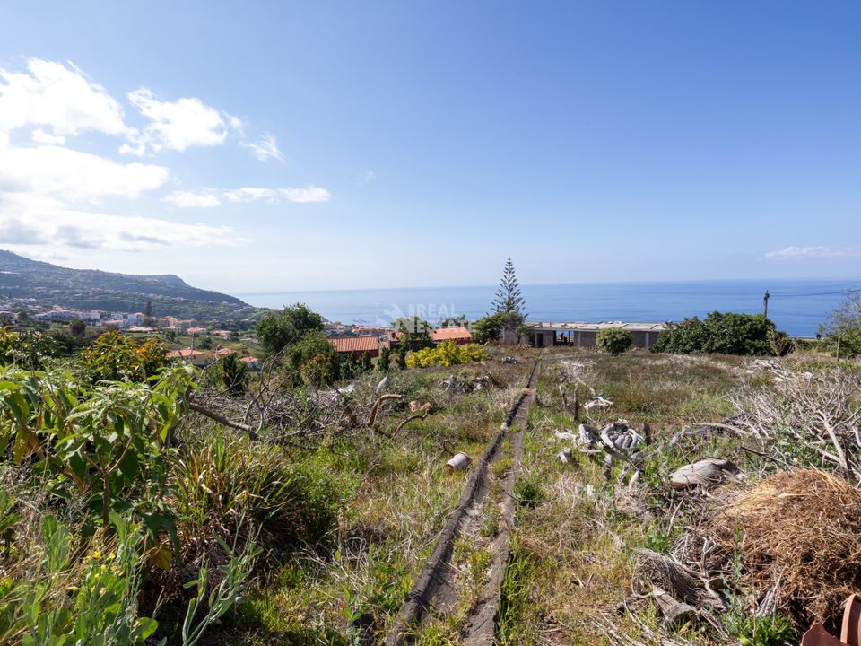 Villa i Calheta, Madeira - foto 5
