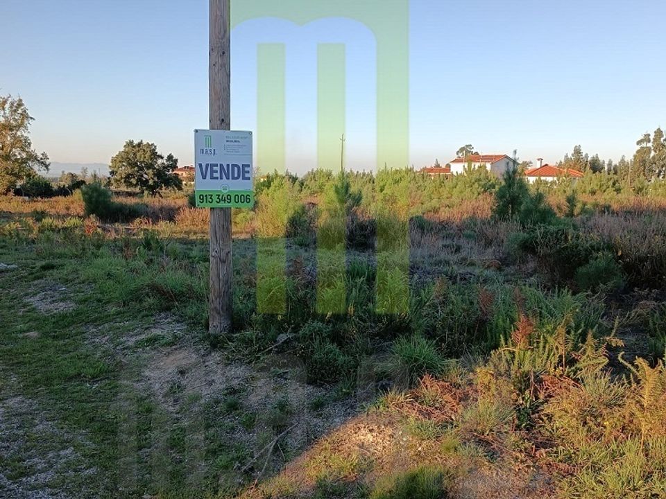 Helårsgrund i Travanca de Lagos, Coimbra - foto 1