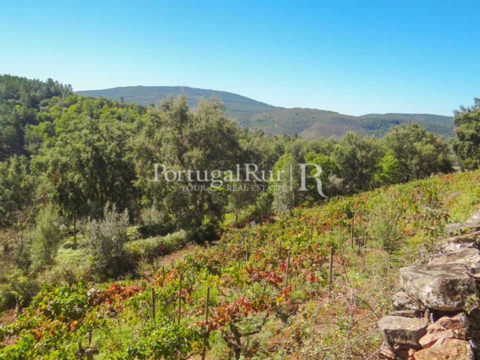 Helårsgrund i Marvao, Portalegre - foto 1