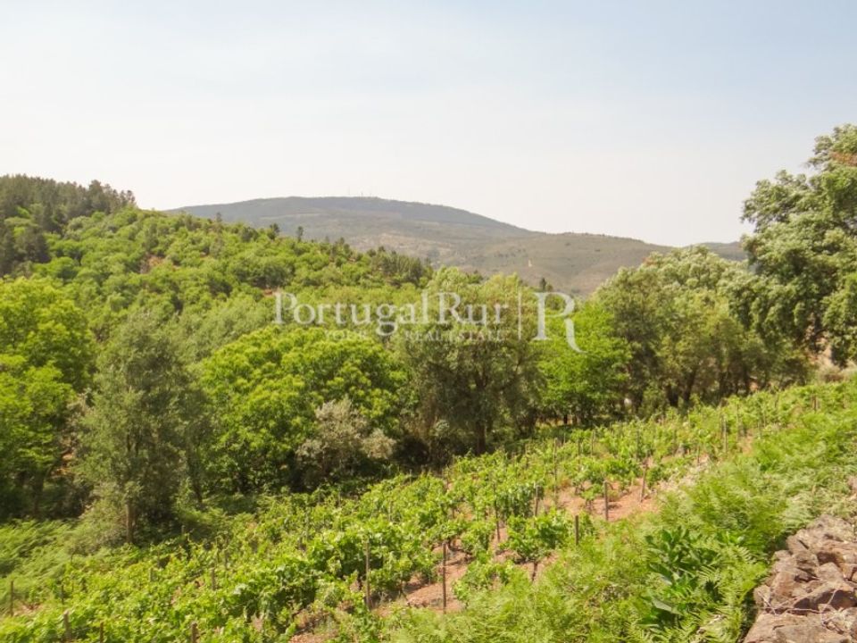 Helårsgrund i Marvao, Portalegre - foto 2