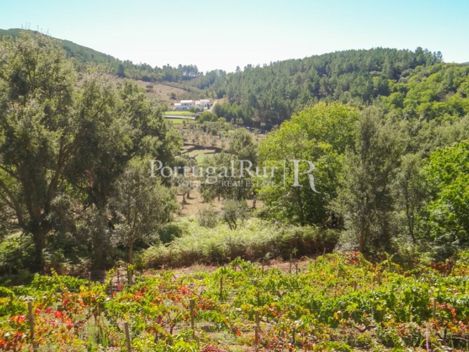 Helårsgrund i Marvao, Portalegre - foto 4