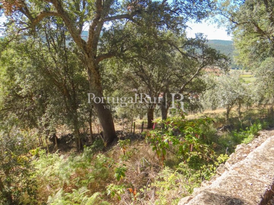 Helårsgrund i Marvao, Portalegre - foto 5