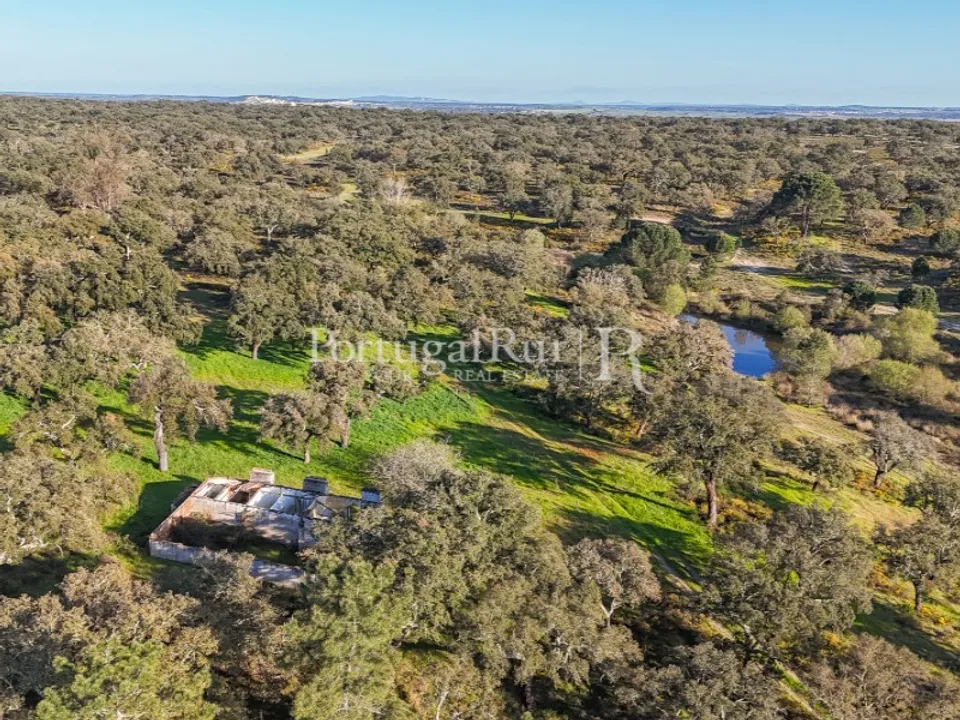 Masia a Ponte de Sor, Portalegre - foto 1