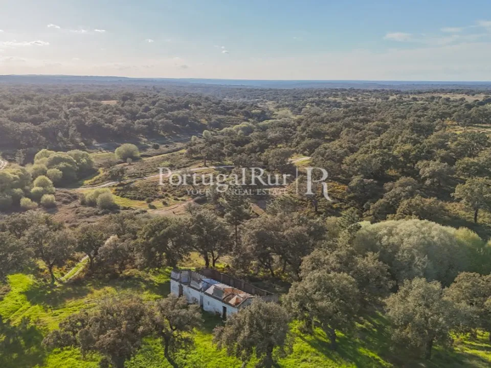 Masia a Ponte de Sor, Portalegre - foto 2