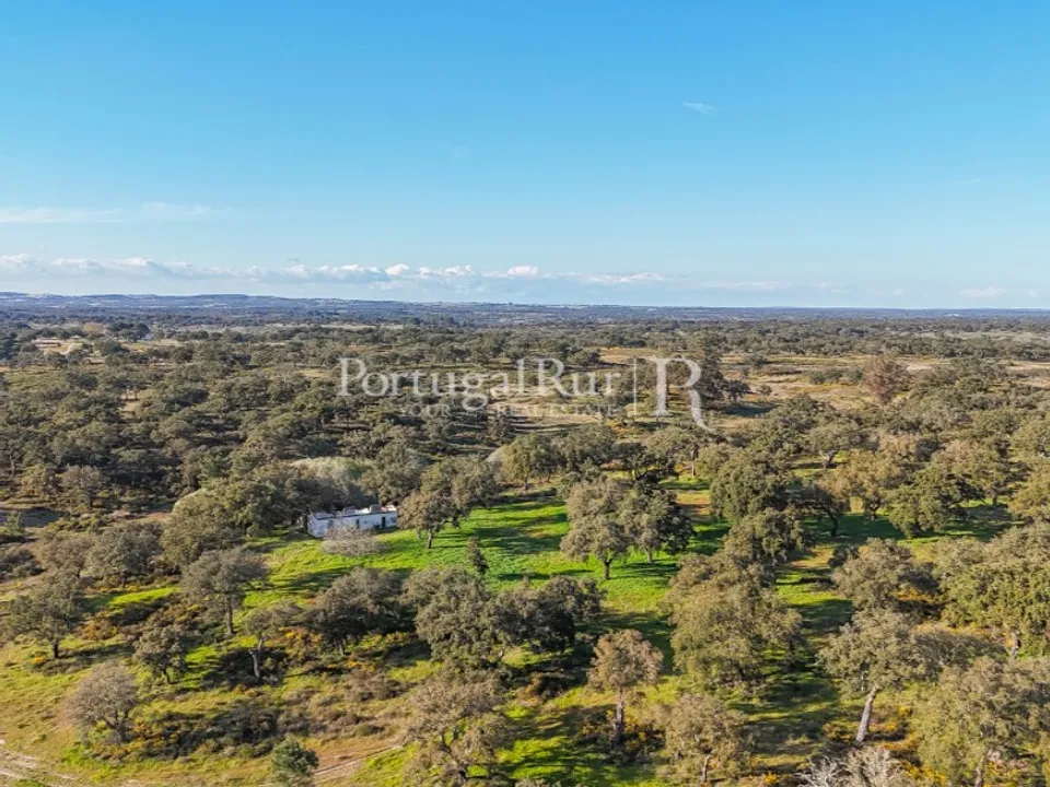 Masia a Ponte de Sor, Portalegre - foto 3