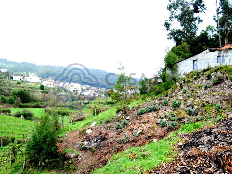Farm i Penafiel, Porto - foto 2