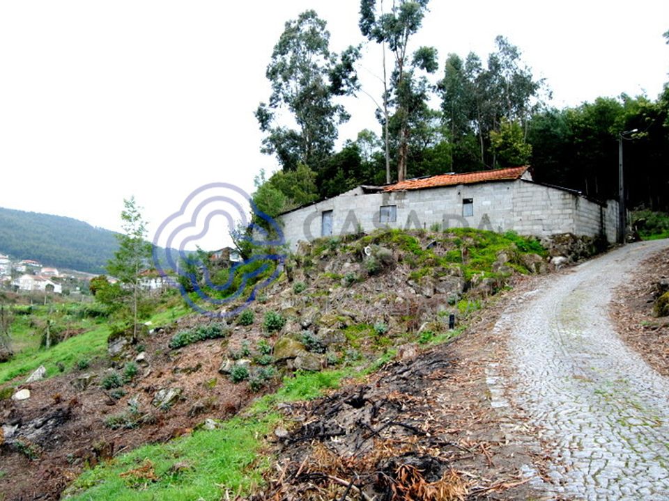Farm i Penafiel, Porto - foto 3