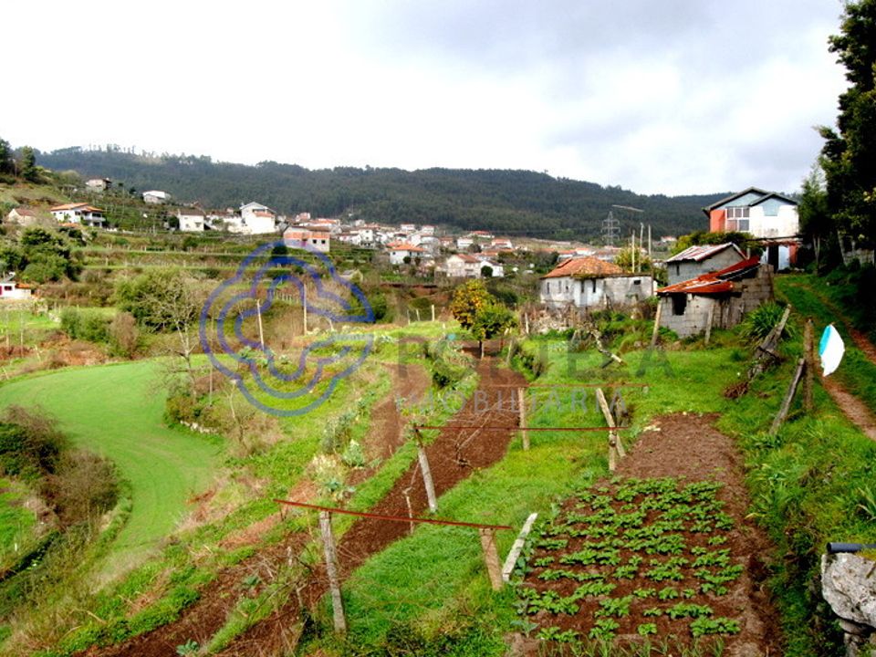 Farm i Penafiel, Porto - foto 4