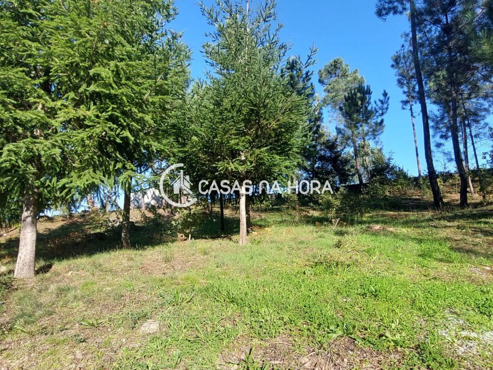 Helårsgrund i Viseu, Viseu - foto 1