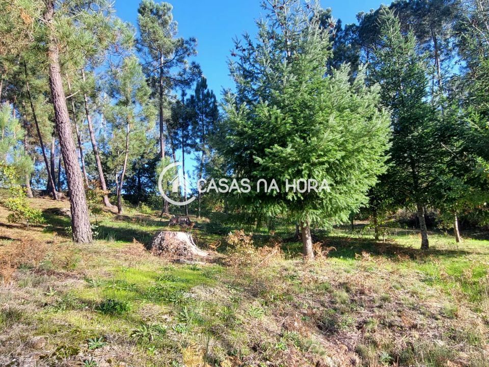 Helårsgrund i Viseu, Viseu - foto 3