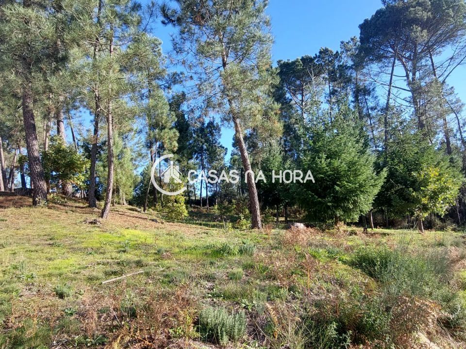 Helårsgrund i Viseu, Viseu - foto 5