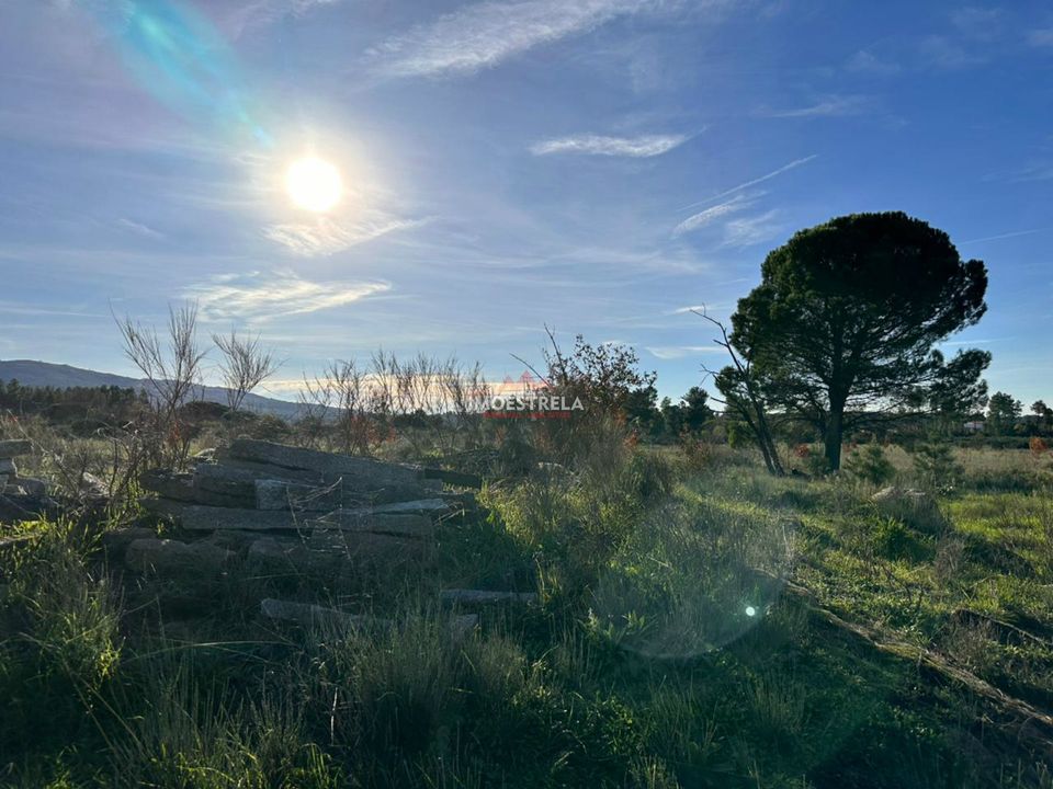 Farm i Gouveia, Guarda - foto 4