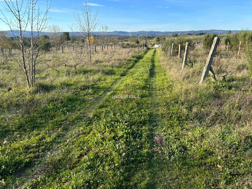 Farm i Gouveia, Guarda - foto 5