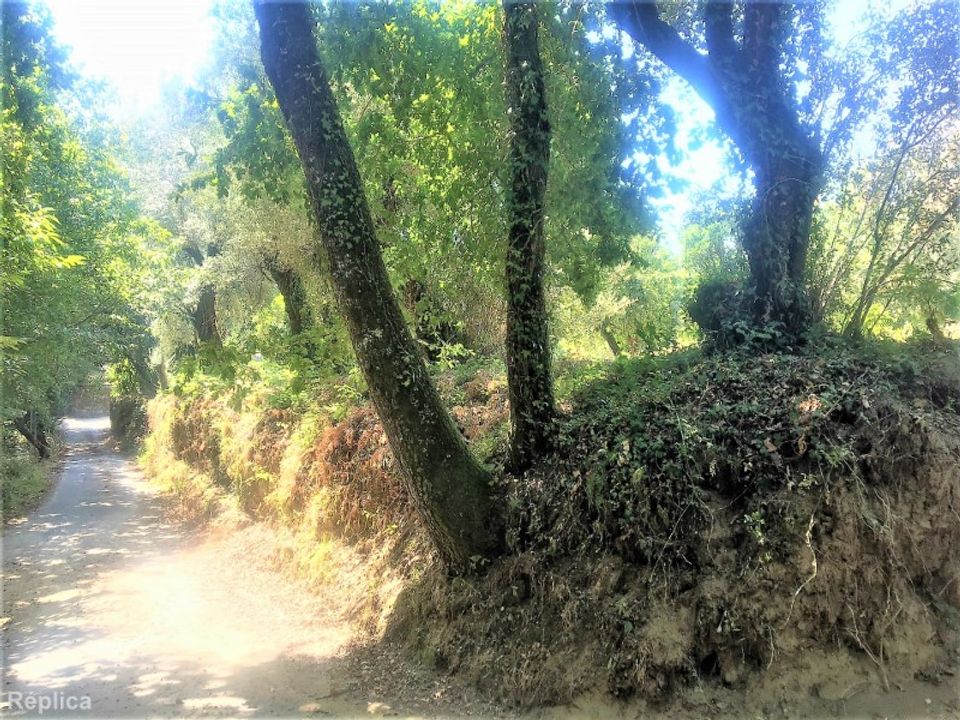 Helårsgrund i Cabeceiras de Basto, Braga - foto 2