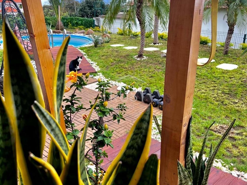 Landejendom i Gaula, Madeira - foto 3