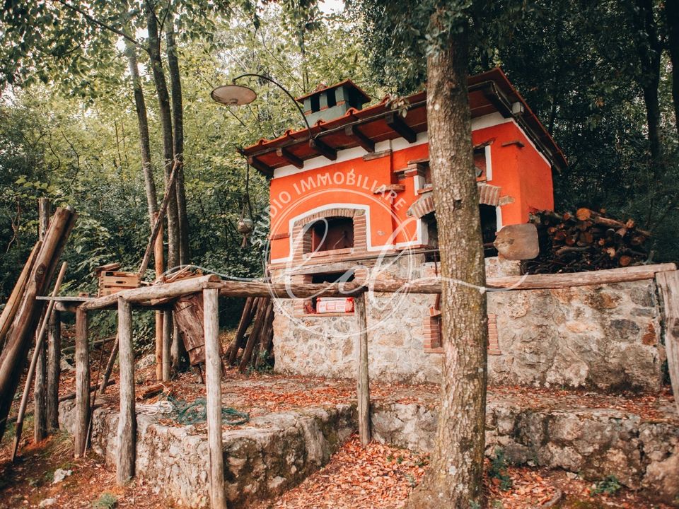 Villa i Camaiore, Lucca - foto 2