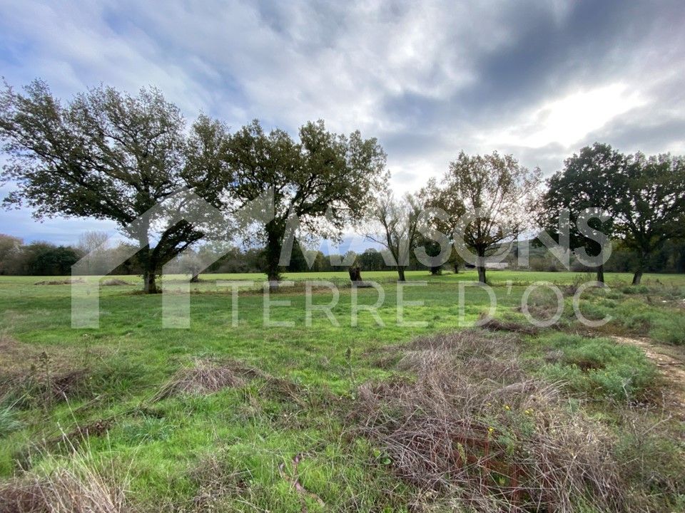 Villa a Vielmur-sur-Agout, Tarn - foto 2