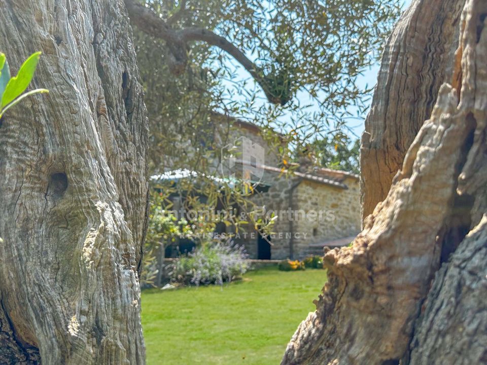 Villa i Passignano Sul Trasimeno, Perugia - foto 2