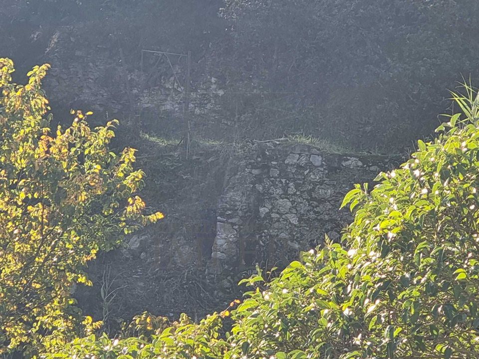 Villa i Ventimiglia, Imperia - foto 3