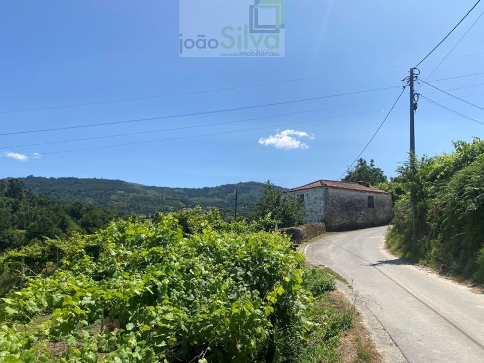 Farm i Ponte de Lima, Viana do Castelo - foto 5