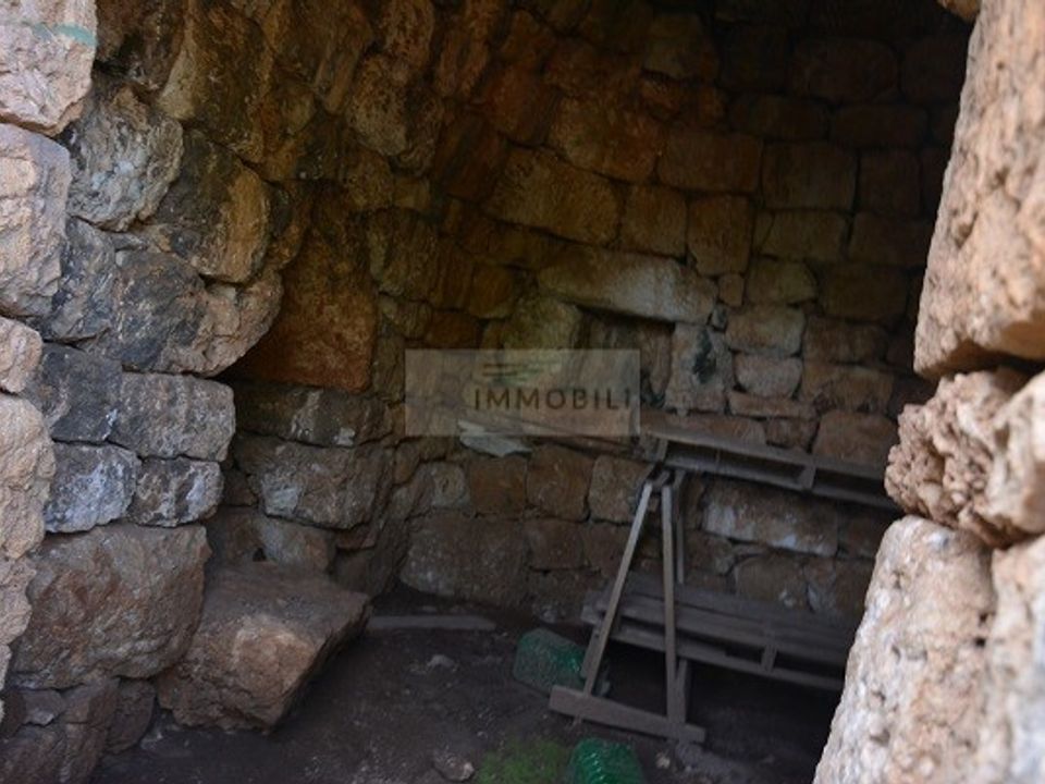 Helårsgrund i Carovigno, Brindisi - foto 4