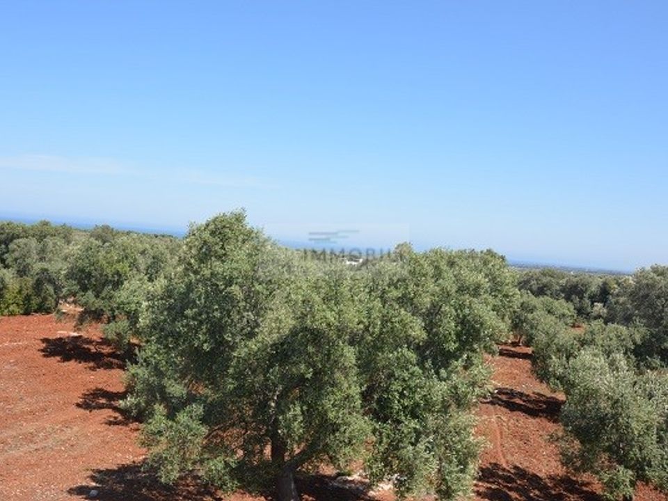 Helårsgrund i Carovigno, Brindisi - foto 1