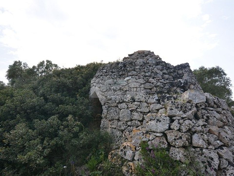 Helårsgrund i Carovigno, Brindisi - foto 3