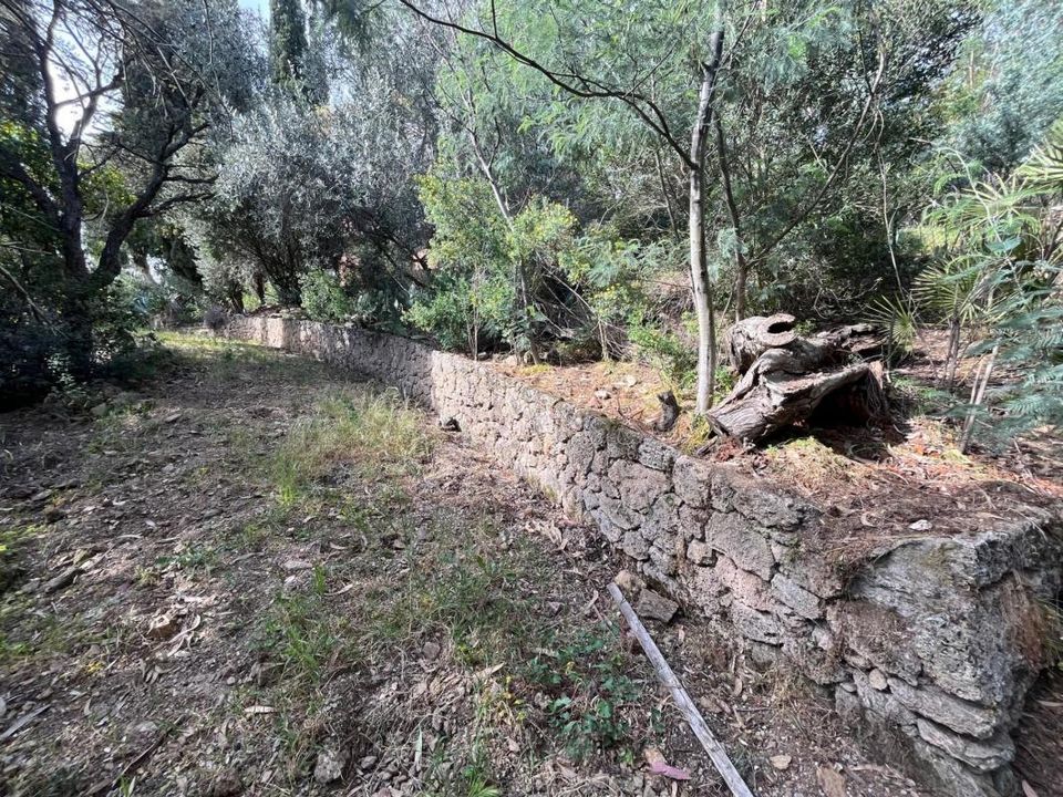 Tomt i Roquebrune-sur-Argens, Var - bilde 1