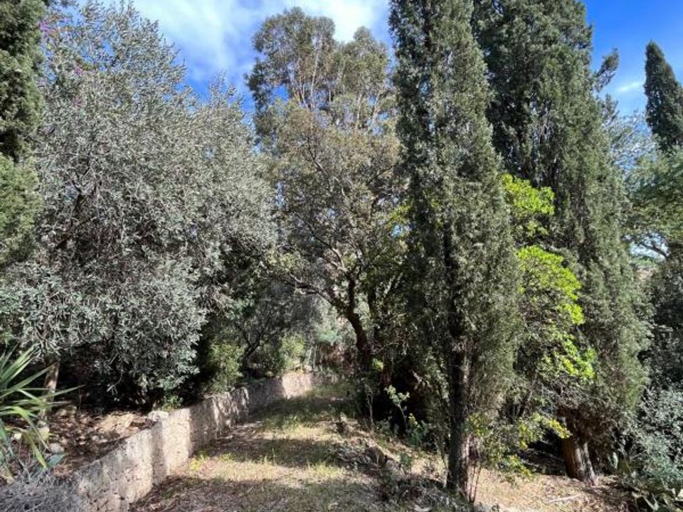 Tomt i Roquebrune-sur-Argens, Var - bilde 2