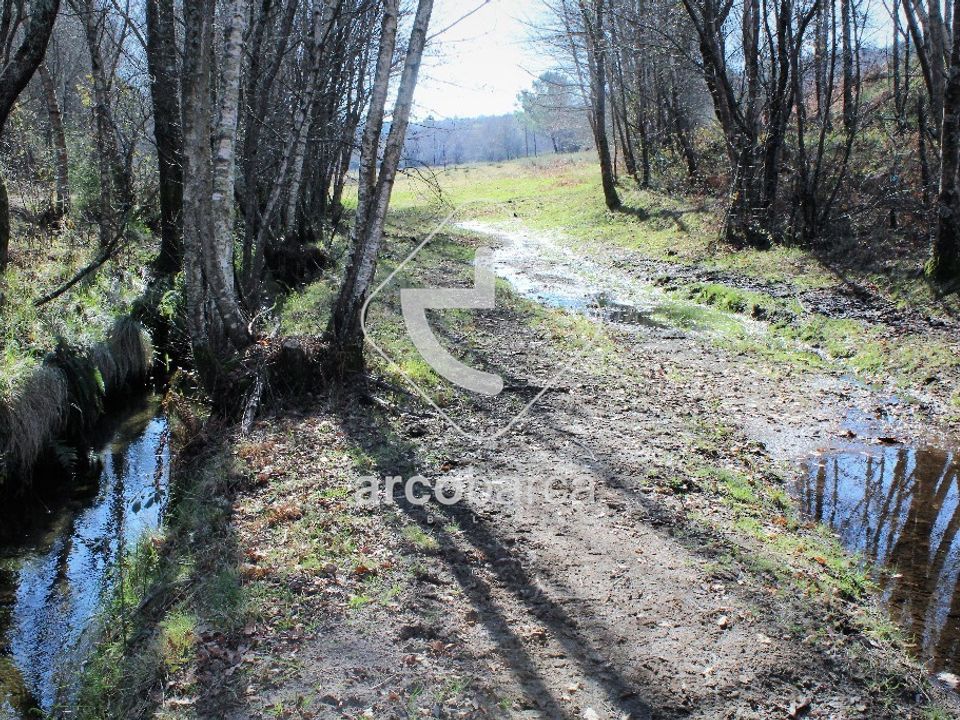 Tomt i Paredes de Coura, Viana do Castelo - bilde 4